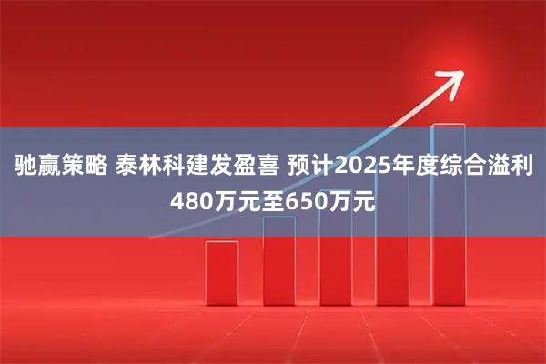 驰赢策略 泰林科建发盈喜 预计2025年度综合溢利480万元至650万元