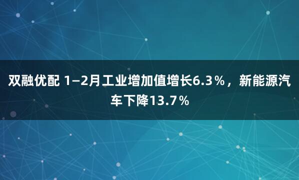 双融优配 1—2月工业增加值增长6.3％，新能源汽车下降13.7％